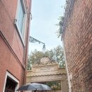 피자버스 | 당일치기 !! (부라노섬/구겐하임 미술관/ 피자 맛집/ 베네치아 왕궁/ 수상버스 ) feat.나잇젯 후기