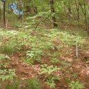 태기산농장 이미지