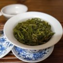 아침차와 茶友