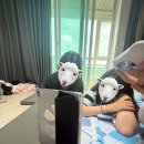 순원농장 이미지