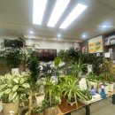 칠곡킴스연합의원 이미지