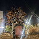 아이키친세종점 | 대전 세종 야외 결혼식 스몰웨딩 정원 파티 가능한 마마키친 상담 후기