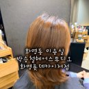 뚜레주르화명롯데카이저점 | 화명동 미용실 추천 박승철헤어스투디오 화명롯데카이저점 건조모 손상모 시세이도 모발 클리닉 후기