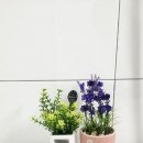 행복한집고시원