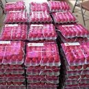 금산농장 이미지