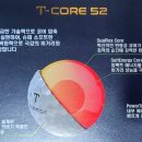 티코어 (T-CORE)