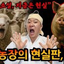 조지오웰 소설 동물농장의 현실판 &#39;한국&#39; 그때는 소설 지금은 현실 / 박서방 알려줘TV 이미지