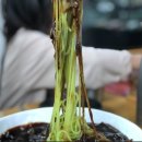 합천반점 이미지