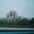 거목농장 이미지