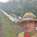 가나안농원 이미지