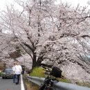 평사리공원 이미지