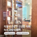 속초 카페 타로가 있는 모모의 창가
