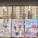더벤티인천용현