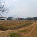 수은농장 이미지