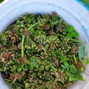 산속골농장 이미지