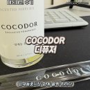 쉬즈화장품 | [내돈내산] 코코도르 디퓨저 양재동꽃시장 향 솔직 후기