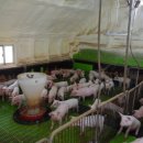 우일농장 이미지