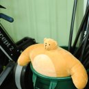 일자산 제1체육관 뒤쪽 | 용인 기흥 상하동 쿠마 크로스핏 다이어트 추천 운동 체육관