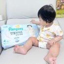 썸머브리즈 | 여름육아꿀템 추천 팸퍼스 엔젤브리즈 썸머팬티 후기