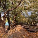 산림공원사업소 휴게매점 | 경남 창원시 경화역벚꽃길, 마산항중앙부두공원 등 가볼 만한 곳