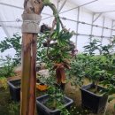 포시즌농장 이미지