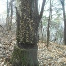 보천목장 이미지