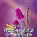 안부커피 이미지