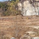 낭산면-1 이미지