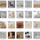 동백죽전대로 | [내돈내산] 베이비파스텔 경기본점 신생아 100일 촬영 후기 (재촬영 후기 포함)