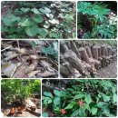 방글농장 이미지