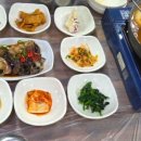 비비오네 이미지