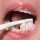 미세모칫솔추천 아더덴 칫솔 솔직후기
