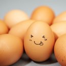 우리계란마트 이미지