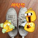 운동화손세탁이불 이미지