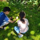 숲속의 이글루 이미지