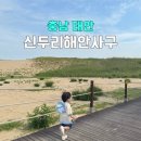 아이이글루(주) | 태안 가볼만한곳 신두리해안사구 주차 아이랑 산책 후기