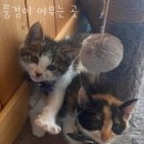 풍경이 머무는 곳 | 강화도펜션 풍경이 머무는 곳 인천강화여행 숙소 위치