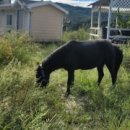 승마체험코스 이미지