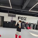 폭스 무에타이 이미지