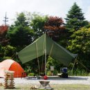 푸른솔관광 이미지