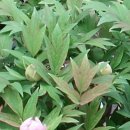 우리바다를 지킨 장군들 이미지