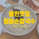 [용인] 처인구 현지인은 무조건 아는 현지인 맛집 &#34;엄마손칼국수&#34; 드디어 먹어본 후기