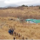 상부상회 이미지