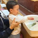 차차래빗 | 의정부 아기랑 갈만한곳 차차래빗 토끼카페 체험