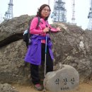 2010.04.18 제89차 食藏山(식장산)정기 산행기 이미지