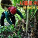 한베투어 이미지