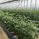 경운농장 이미지