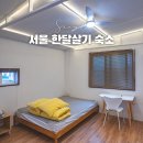 미스터컴 | 서울 한달살기 숙소 추천 건대단기임대 더우드 The wood