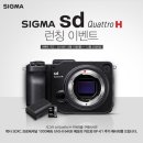 Quattro PC 이미지