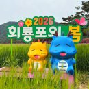 회룡마을회관 | 경북 가볼만한곳 2026 회룡포 봄나들이 축제 당일치기 5월 봄꽃구경